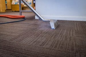 professional carpet cleaning