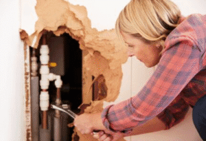 Water Problem That Can Be Solved By Water Damage Removal