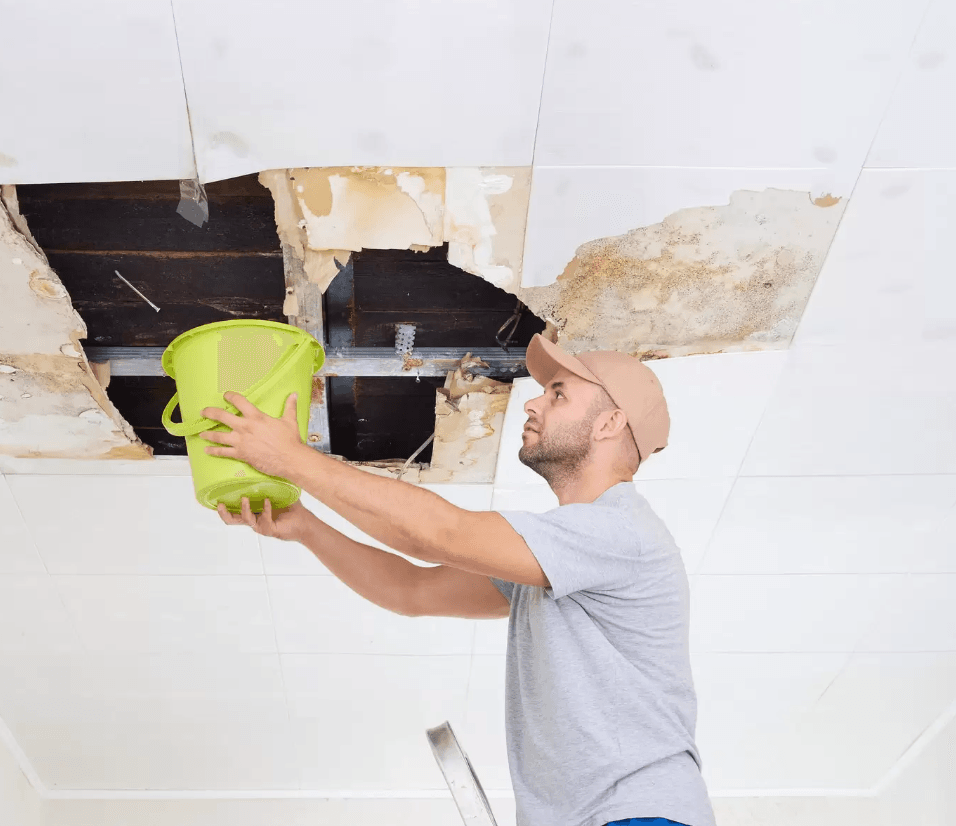 Water Extraction 101: Importance of Hiring Professionals for Water Damage