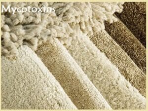 Mycotoxins