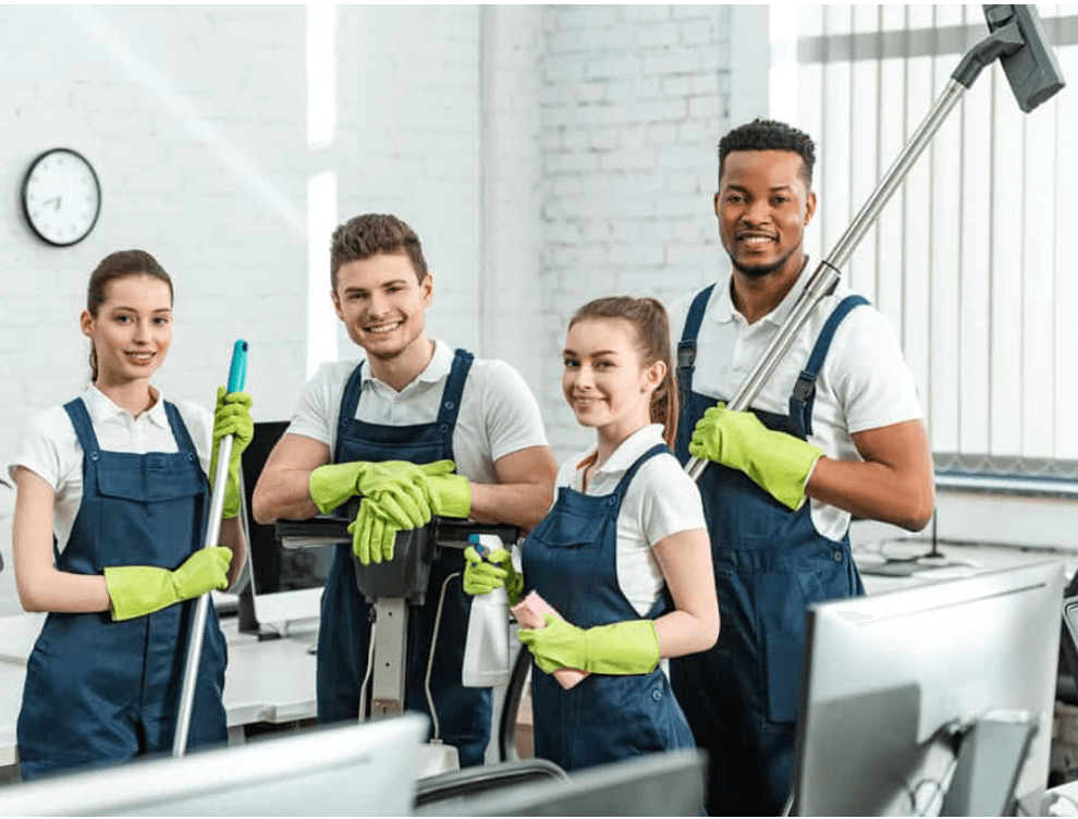 Professional Cleaners vs. Private Cleaners