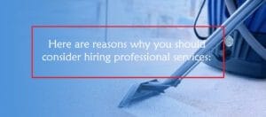 Reasons of considering professional services
