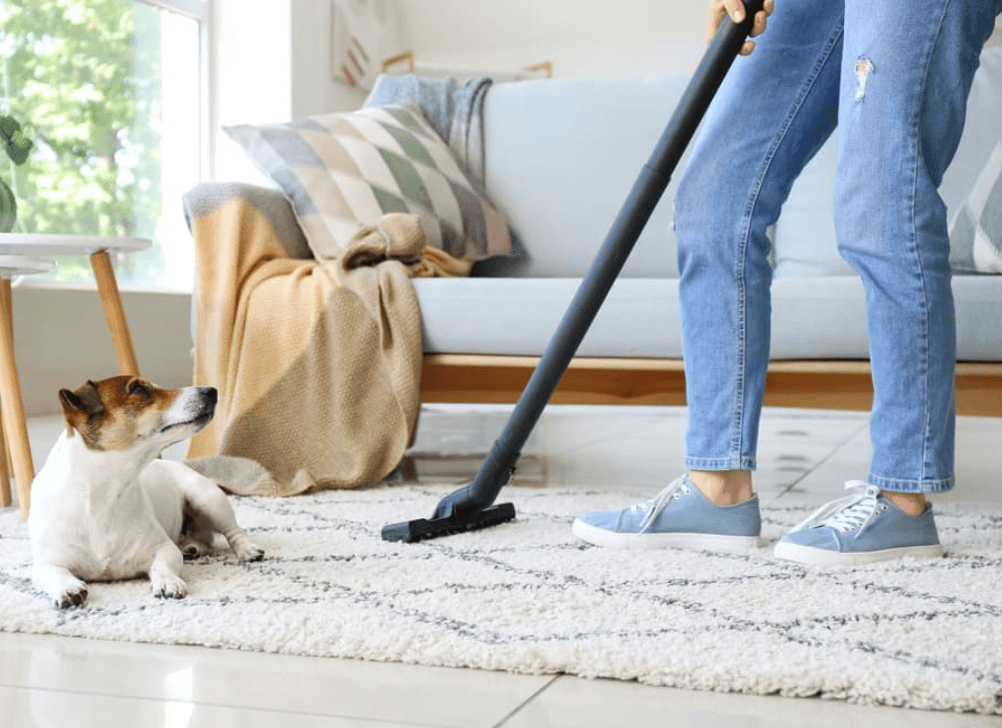 Is Carpet Cleaning Safe For Pets