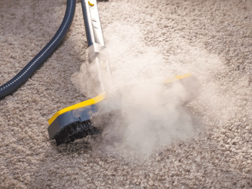Carpet Steam Cleaning