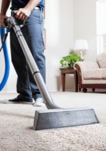 Can Fleas Survive Carpet Cleaning