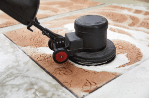 Why You Should Hire Professional Carpet Cleaners