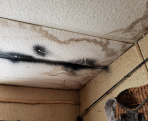 How to Spot Water Damage