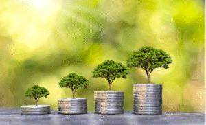 Why Hiring Professional Cleaning Services Has a Good ROI