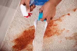 Effective Ways of Carpet Cleaning