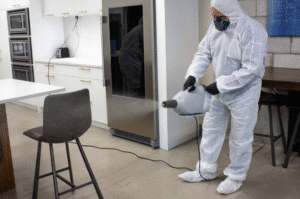 What is Fogging Disinfection