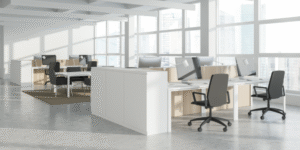 What to Do When Your Office Has Bed Bugs