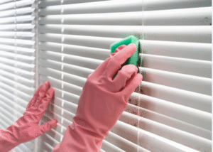 How to Clean Office Blinds
