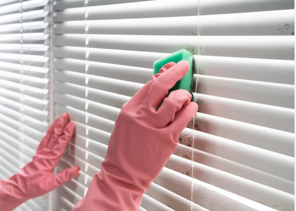 How to Clean Office Blinds