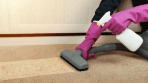 Floor Tech / Carpet Cleaner | $19.00 / hour