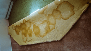 Stained Cloth Under the Carpet