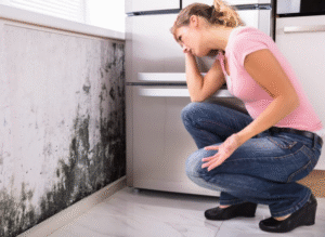 How to Effectively Deal with Mold in the Office