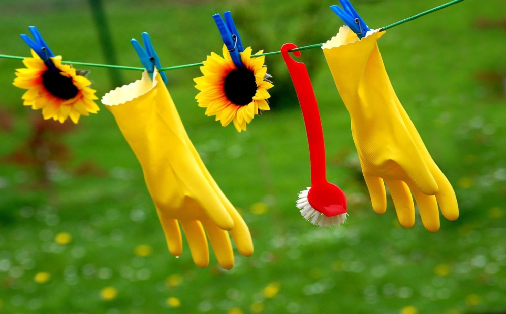 Why You Should Book a Deep Cleaning in Summer