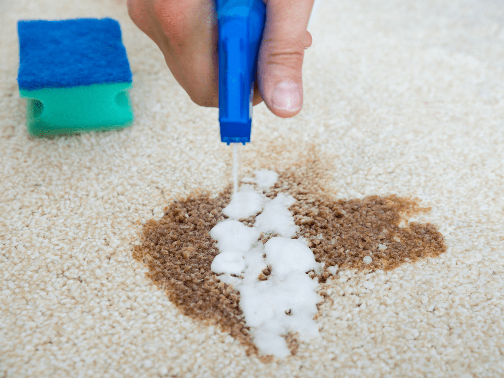 How to Remove Stains for Carpets of All Kinds Burgos Cleaning Service