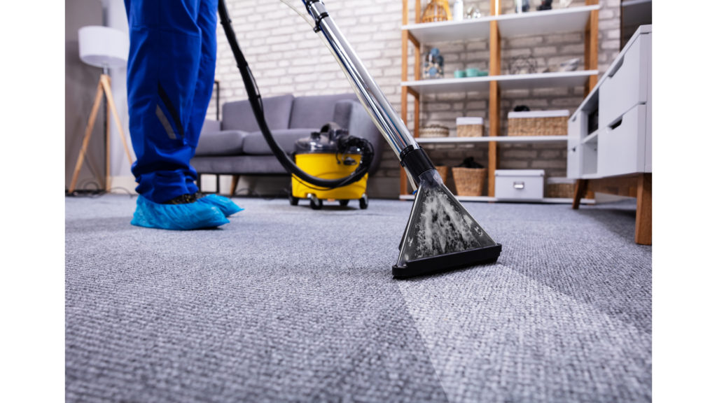 Carpet Cleaning Tips When Moving Out Burgos Cleaning Service