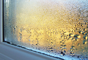 How to Prevent Condensation in Windows