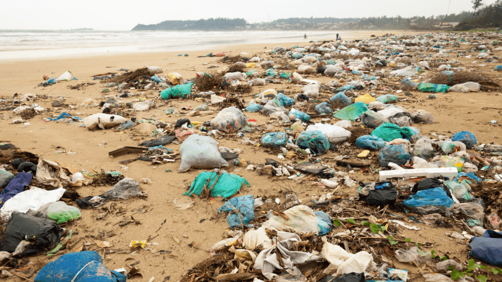 improper waste management effects