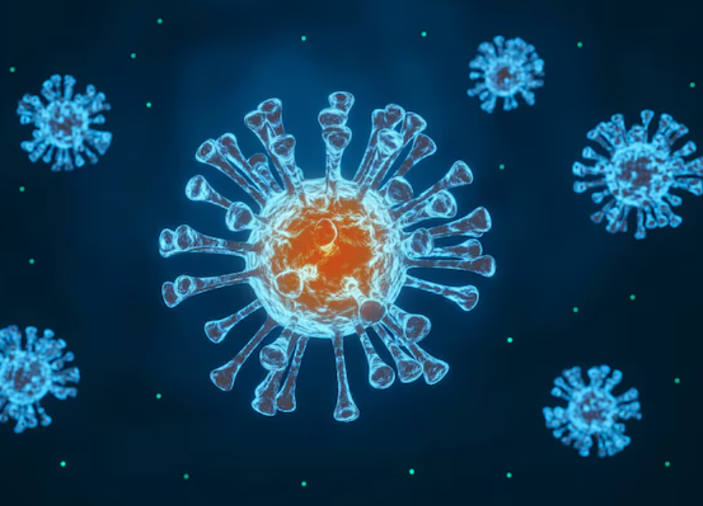 How Are Viruses Breeding Rapidly