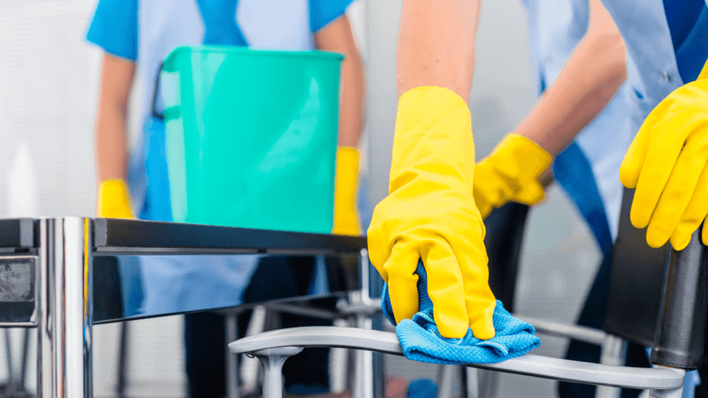 best professional cleaning service