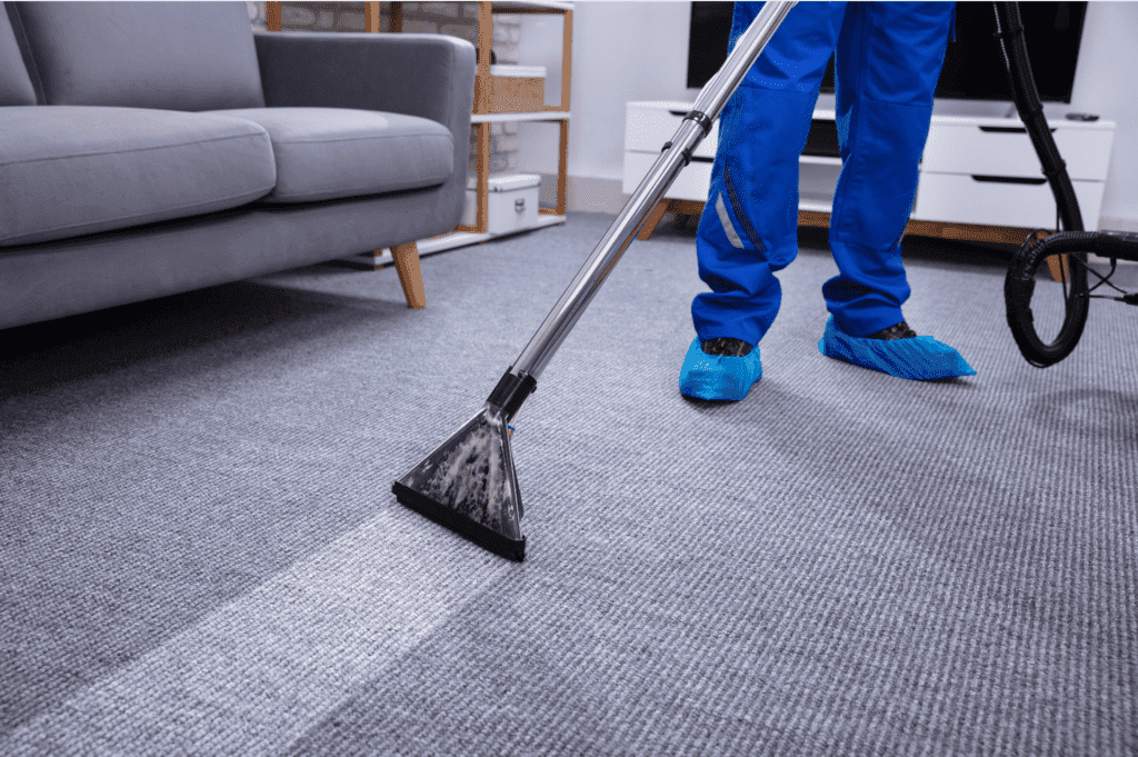 Carpet Cleaning Burgos Cleaning Service