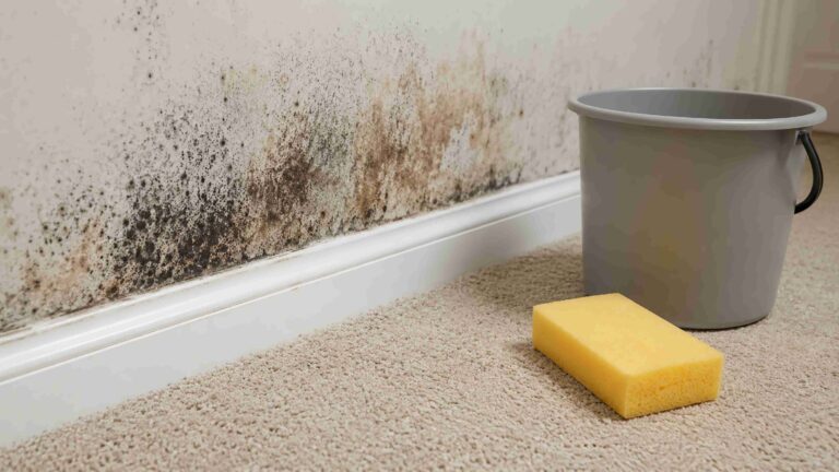 Cross Contamination in Cleaning