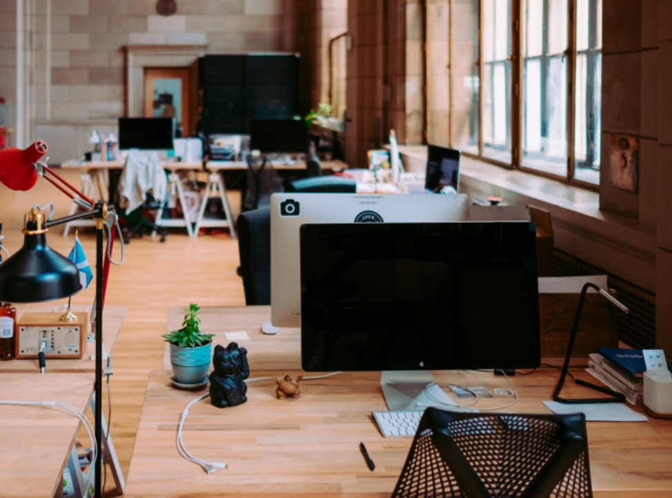 How to Get Rid of Fruit Flies in the Office