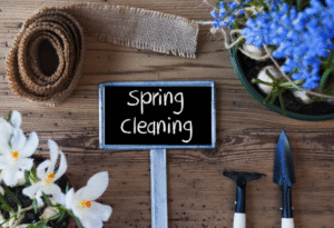 Why Spring Cleaning is More Important Than Ever