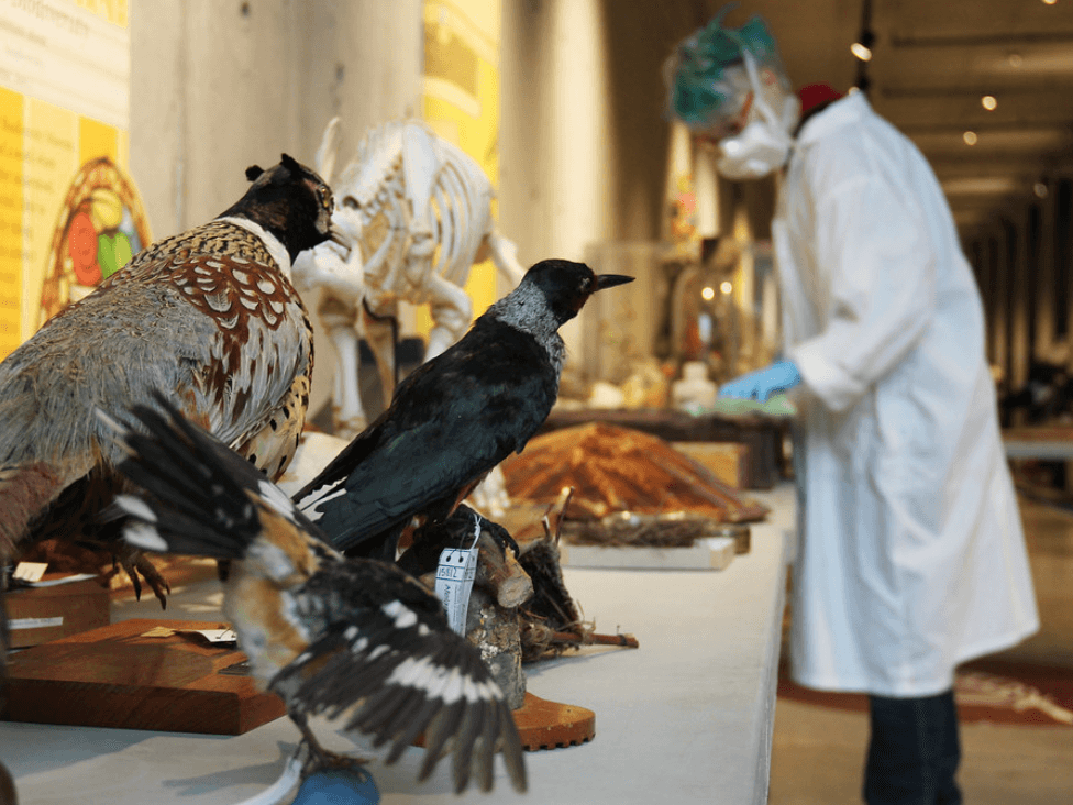 Proper Cleaning for your Gallery or Museum