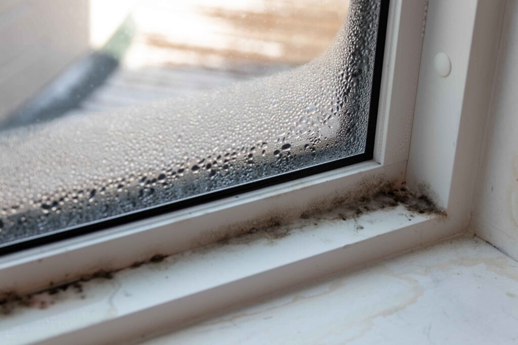 Fungus The Cleaning Industry’s Next Foe