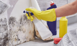 Fungus- The Cleaning Industry's Next Foe