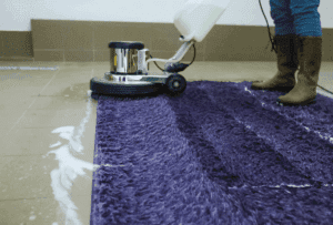 Commercial Carpet Care: A Guide to Efficient Shampooing