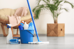 Essential for a Caring Society: Professional Cleaning Services