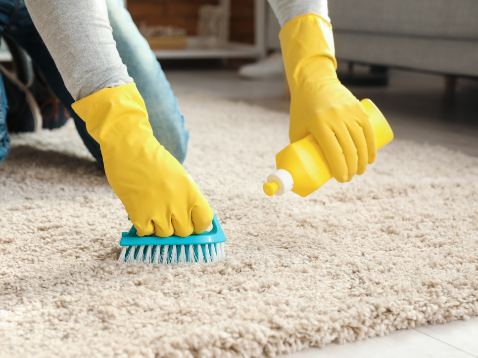 The Ultimate Guide to Acrylic Office Carpet Care