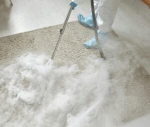 Can Fleas Survive Carpet Cleaning