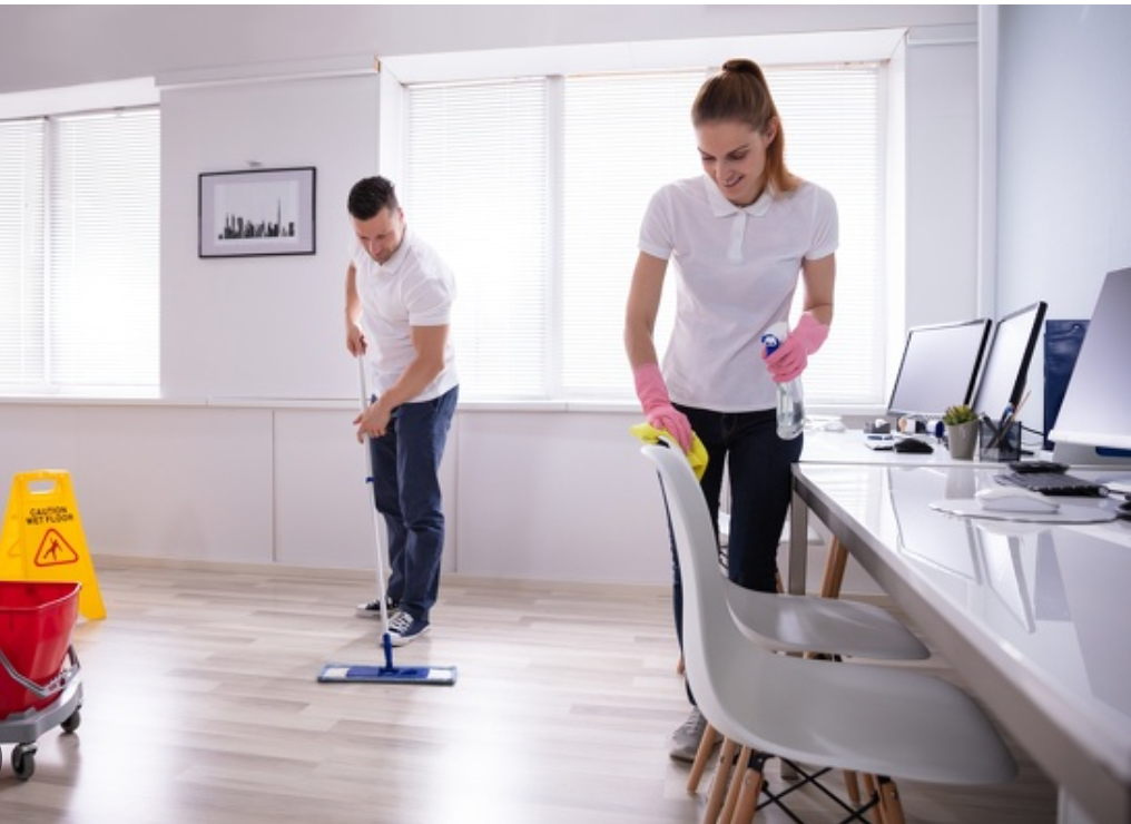 Expert Daily Cleaning Support Services - Residential & Commercial