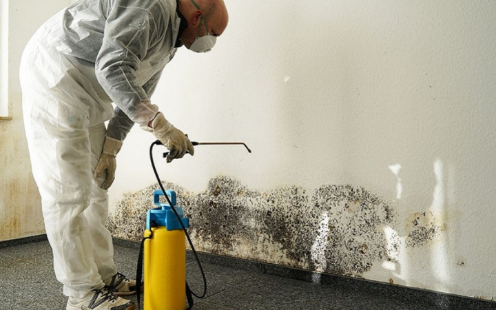 Mold Remediation- What It Is and Why You May Need It in Your Office