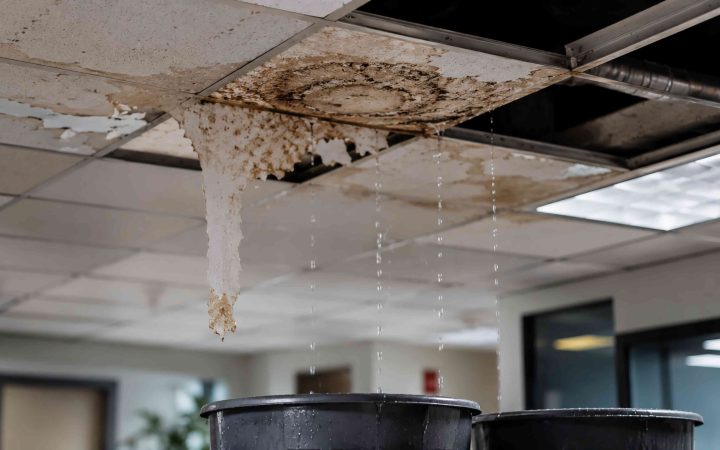Why should you hire professional water damage restoration services
